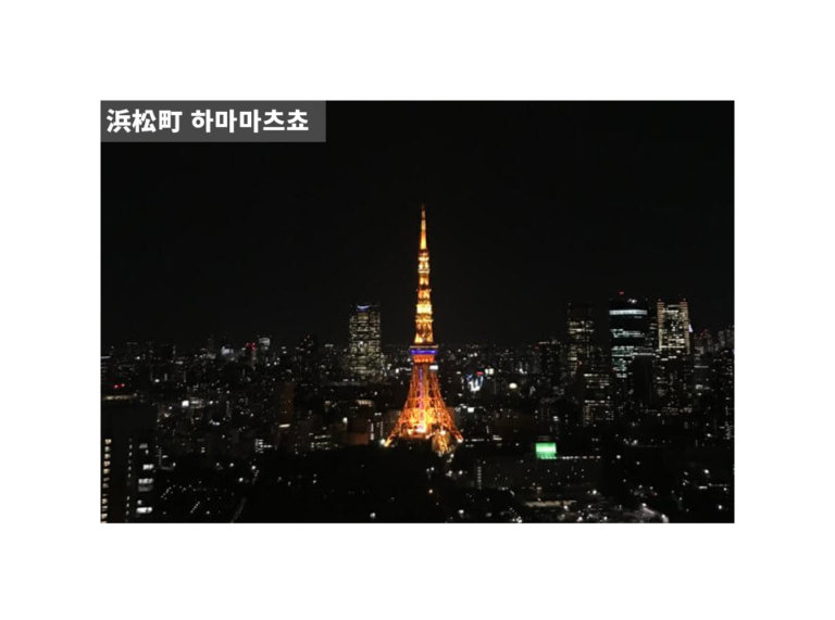 [東京タワー/도쿄타워]シーサイドトップ 展望台/세계무역센터빌딩전망대